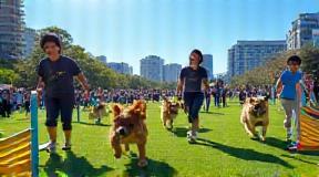 春のアジリティイベントレポート